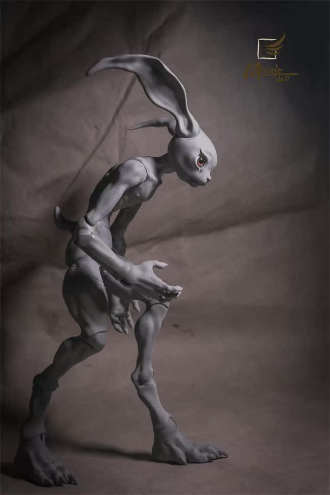 miracle_crazyrabbit_15.jpg