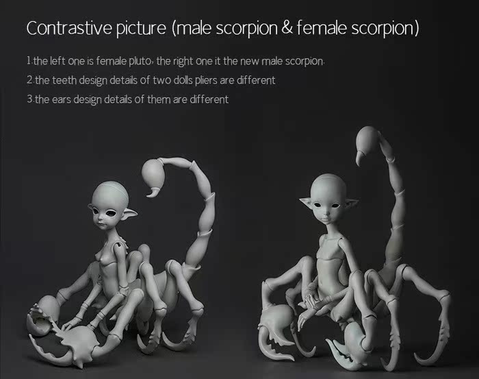 chateau_cephalopod_02.jpg