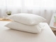 Màu sắc đơn giản kiểu dáng gối Nhật Bản đơn cotton không in bông giặt gối bông đơn mảnh 4874cm