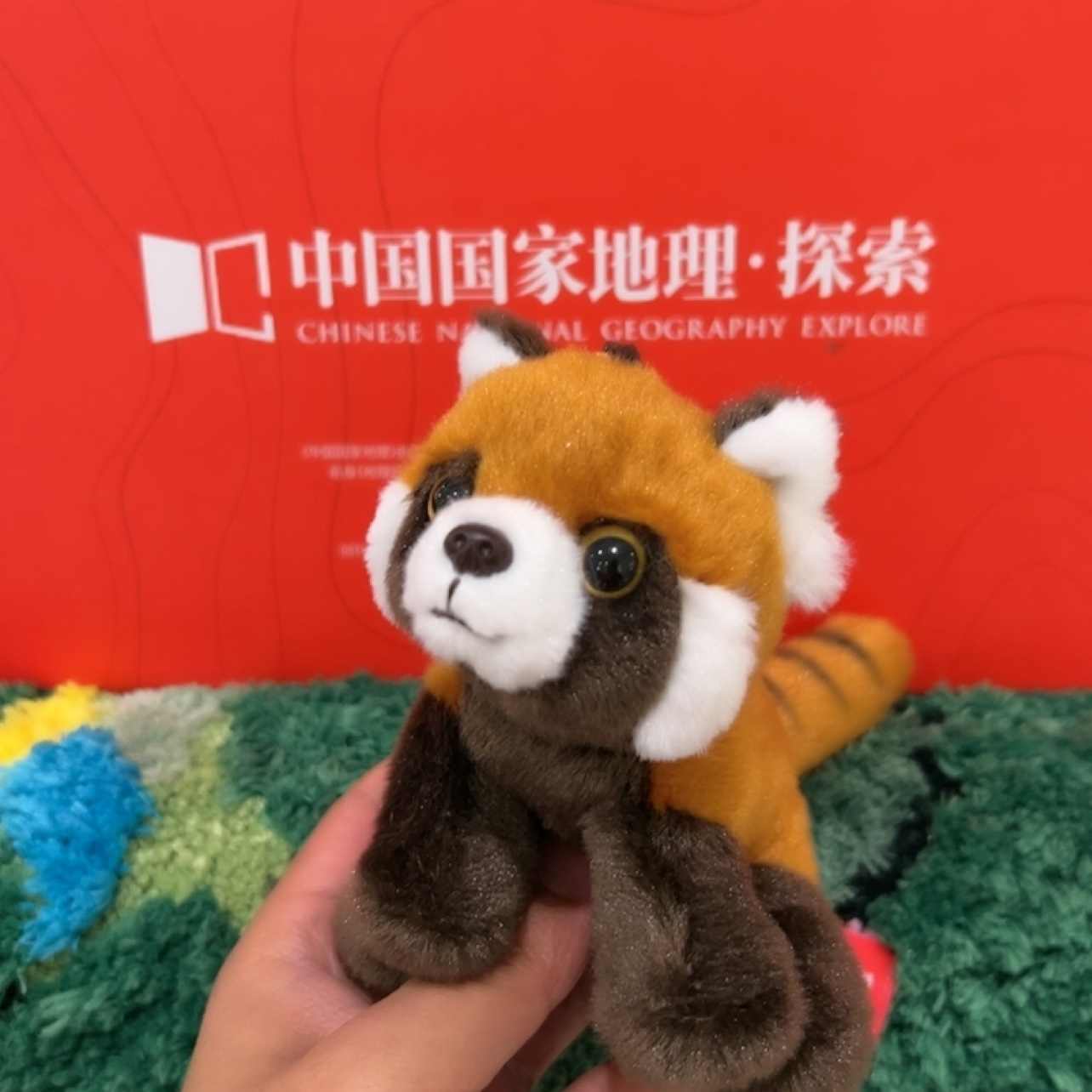 广州长隆纪念品大熊猫毛公仔毛绒玩具娃娃陪睡玩偶礼物手信, image size:1284x1284