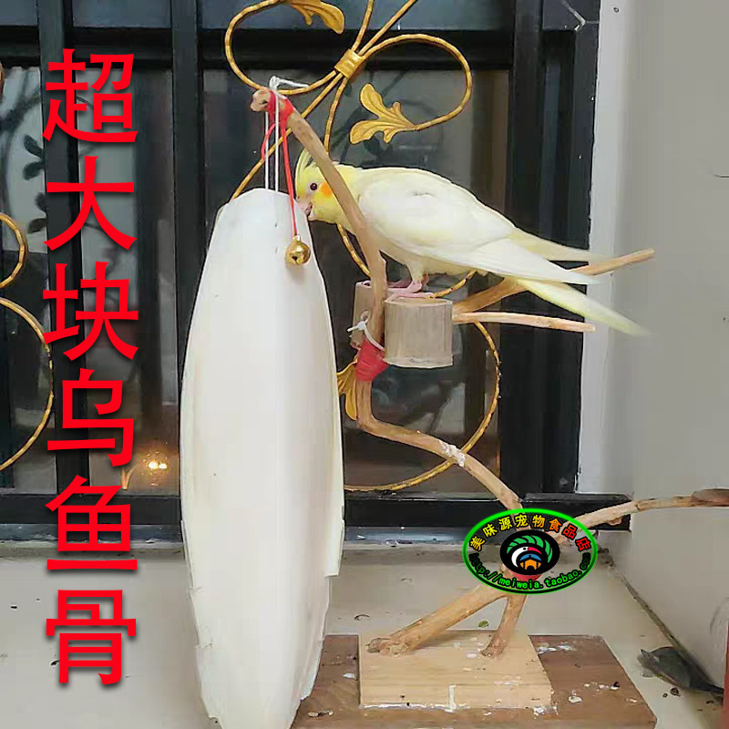 Punch natural super large cuttlefish bone cuttlefish bone mullet bone parrot munia pearl myna turtle totoro calcium supplement