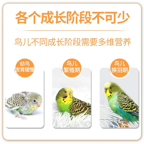 Пекин Кайюань птичья птица многомерные птицы птицы питания питания попугая птица нефритовая птица здоровья продуктов витамин против стресса