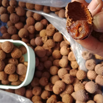 2024 Promotion 2 pounds of authentic Gaozhou old tree dried lychees raw sun-dried cinnamon flavored farmers direct sales without food additives