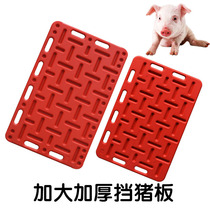 Thickening of the Pork Board Catch-up Pork Board Catch-up Pig Boom Pig Big Plastic Plate High Quality Pure Material Anti-Fall Breeding