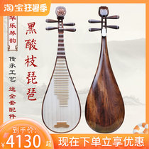 Hualac Rhyme Professional Playing Grade Pipa Test Class Solo Troupes Practice Accompaniment Black Acid Branches Adults Pipa Musical Instruments