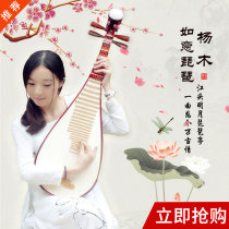 Hua Le Qin Rhyme Adult Pipa Pipa Musical Instrument Elementary Introduction Children Pipa Qin Poplar Beginner Pipa