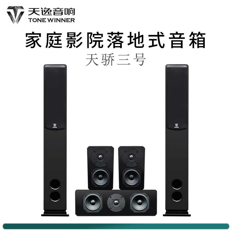 Winner Tianyi Tianjiao No. 3 5 1 Home Theater Set Home Floor-standing Speaker Enjoy No. 1