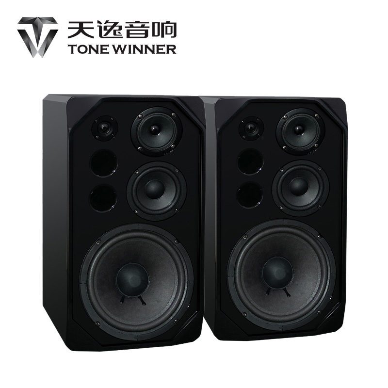 Winnerdays comfort BL-5 Bailie 5 Home KTV karaoke Card bag speaker Home K song Sound