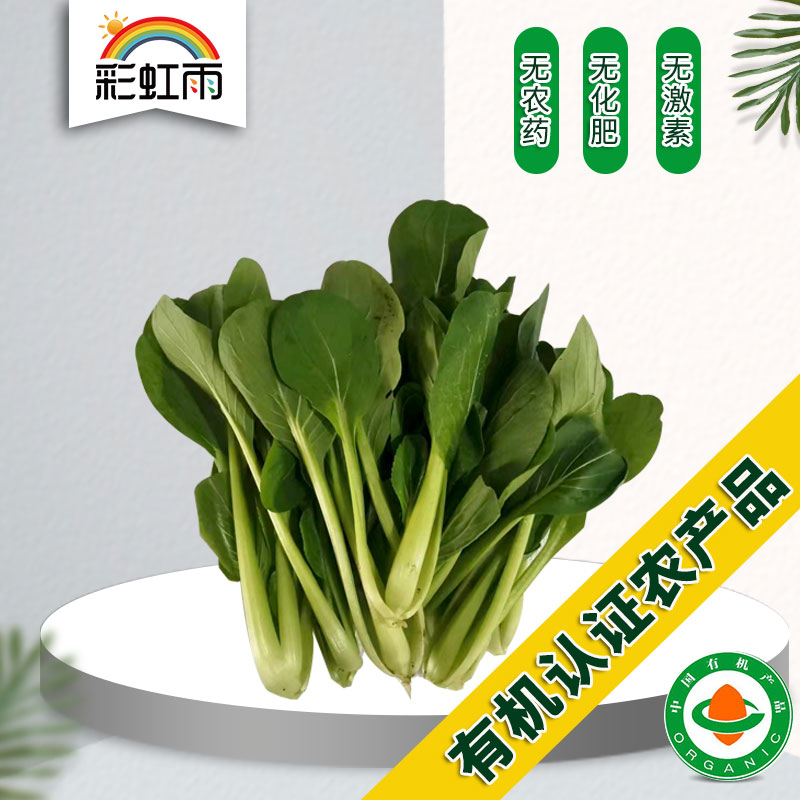 Jingjin Jingjin Hebei 100 fresh organic vegetables chicken hair oil 250g rainbow rainbow farm