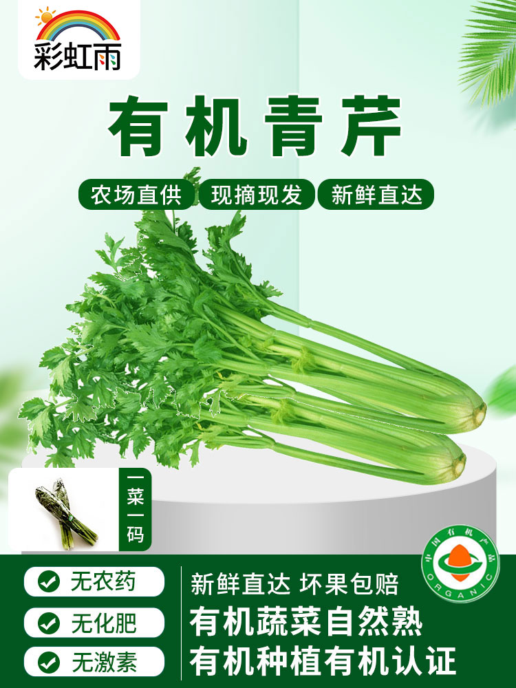 The Beijing-Tianjin-Hebei Full 100 Fresh Organic Vegetable Green Celery 250g Little West Cress Rainbow Rain Farm Distribution-Taobao