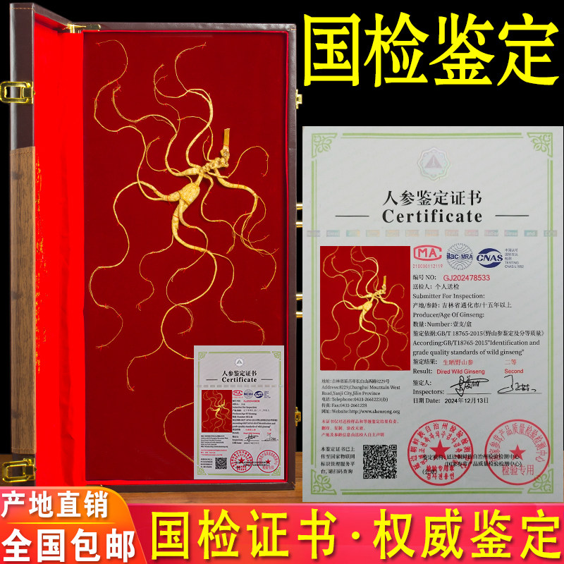 中国東北野山参 中国東北参茸鑑定書付き 长白山国检野山参带证书高级礼盒装东北特产人参