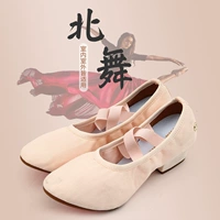 北舞 Танцевальная обувь женская мягкая тренировочная обувь для взрослых учитель