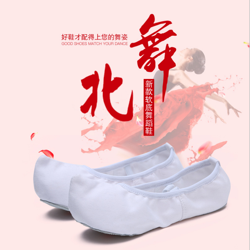 North Dance North Korean Dance Shoes Traditional Hook Shoes White Classical Dance Shoes Indoor Practice Shoes Men And Women Adults Canvas-Taobao