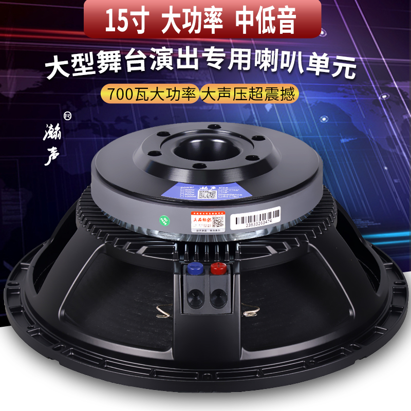 15 Inch Full Frequency Bass Horn 220 Magnetic 100 Core 700W High Power Stage Performance Wedding Outdoor KTV Speaker