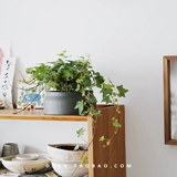 Dolv Dolv Каллиграфия пирамида