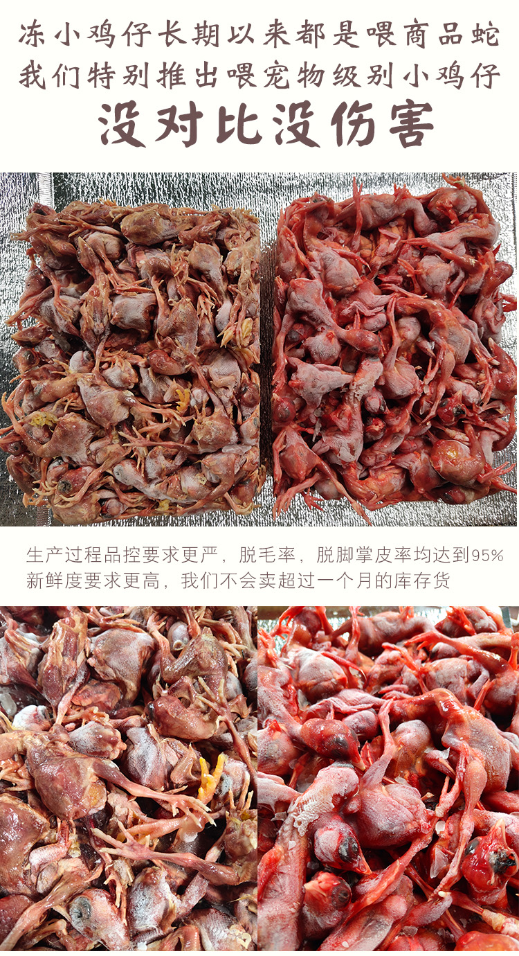 Thức ăn tự nhiên cho mèo sống Thịt gà đông lạnh nguyên chất lạnh tự chế cho trẻ sơ sinh vật nuôi rắn cho chó ăn cơm đóng hộp 5 kg Nổ - Cat Staples thức ăn cho mèo gần đây