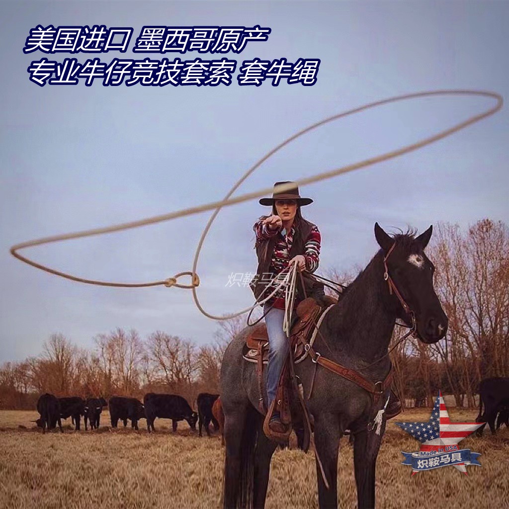 American Imports Mexico Native Western Denim Specialty Suite Soo Western Saddle Bull Rope Without Saddle