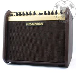 Fishman Loundbox MINI Folk Acoustic Guitar Box Piano Playing and Singing Speaker Audio PRO-LBX-EX5