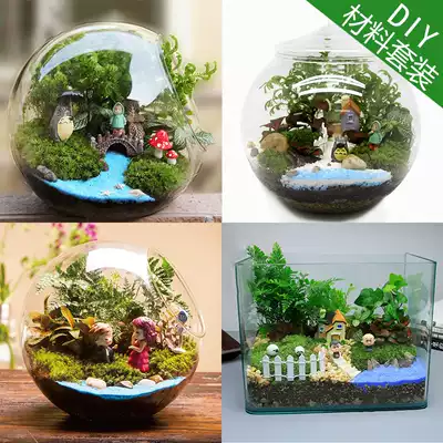 微观苔藓多肉绿植物玻璃微景观组合盆栽生态瓶diy材料包盆景套装