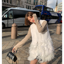 LIN CHAO ZHANG 19 autumn and winter new ostrich hair decoration feel white mink hair stitching vest woman
