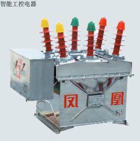 Vacuum circuit breaker ZW8-12DG T630-20