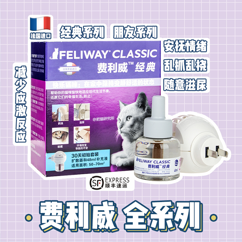 Felway Felivi Classic cat at the Fellomon Institute for Fellomon scratches and upset friends