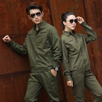 Армейский Зеленый