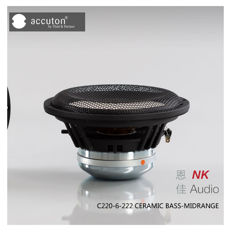 Germany Accuton C220-6-222 ceramic diaphragm eight-inch subwoofer unit