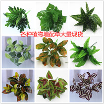  Glue green dill with grass decoration Fake leaves Green plants Simulation plant wall accessories Fern Persian leaves Green leaves