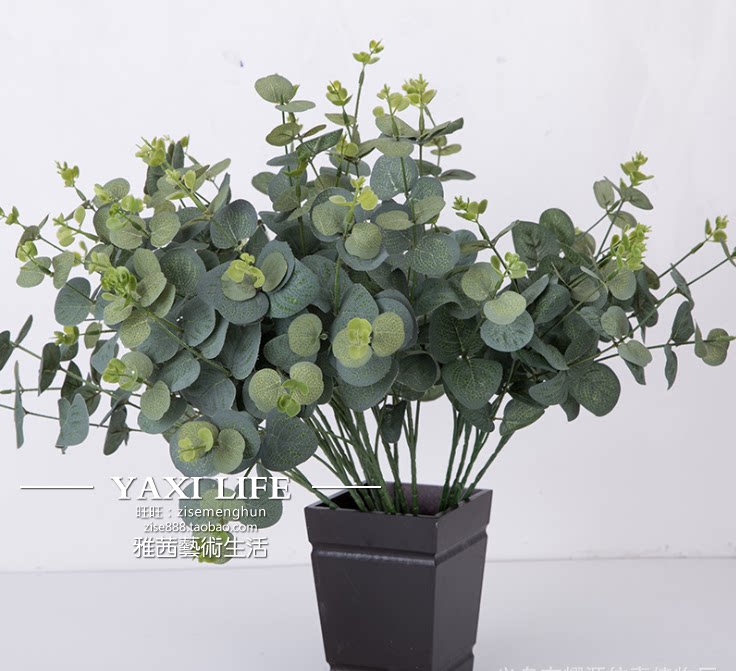 Golden Money Grass Yougali Fake Flower Emulation Flower Decoration Flowers Fields Garden Money Leaves Emulation Flower Arrangement Scenery Wedding Celebration Wedding Celebration Wedding Ceremony