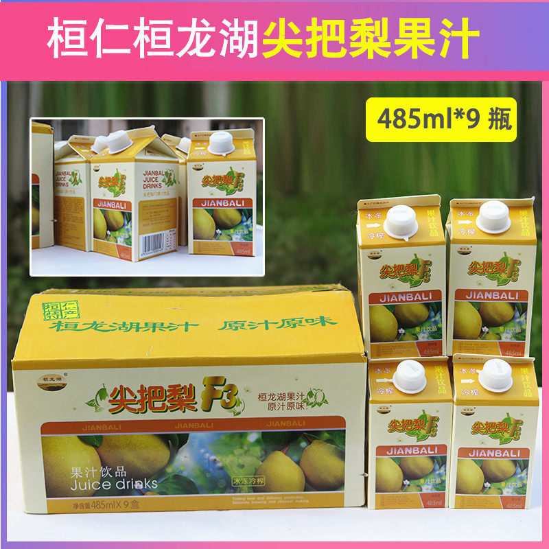 Huanren Huanlong Lake Jiankang PEAR F3 JUICE DRINK 490ML-9 BOTTLES 