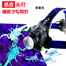 Single Violet scorpion lamp special strong light headlight catching scorpion catch telescopic zoom USB charging sensor headlight shining Scorpion