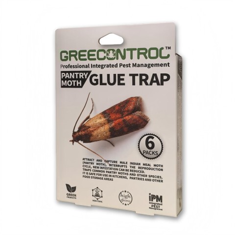 Moth Trap Moth Trap Pit Indian Meal Moth Pheromone Trap 6+1 Pieces Deluxe Edition Free Shipping Nationwide