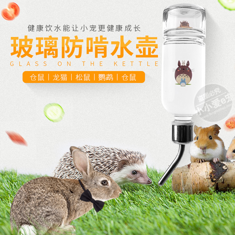 Pet glass kettle Drinking water bottle Hedgehog Cat Rabbit Ferret Hamster Chinchilla Squirrel Parrot Hamster kettle