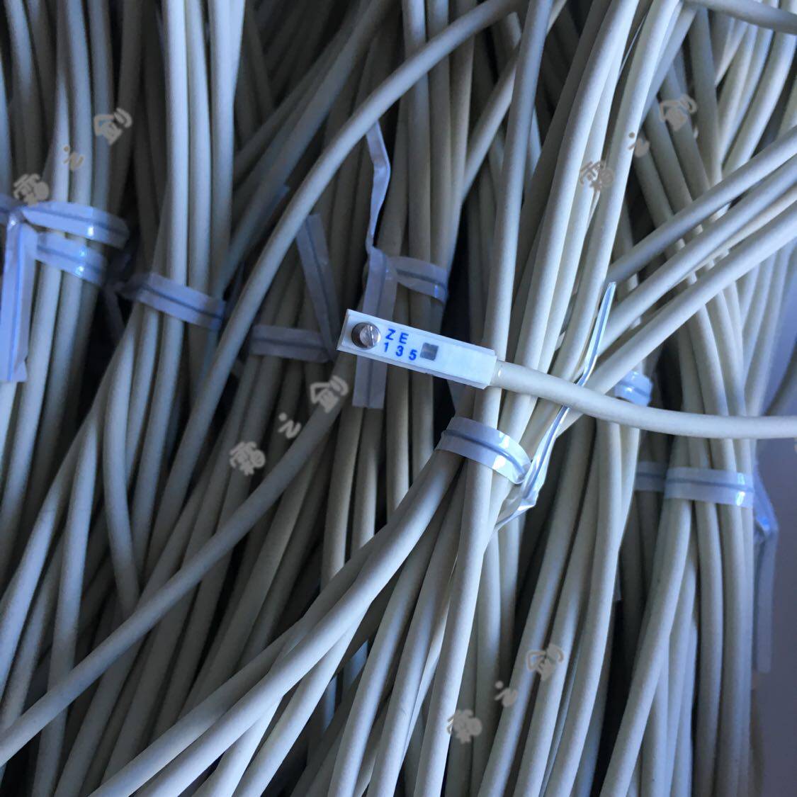 Original new KOGANEI Xiaojinjing cylinder magnetic induction switch ZE135A 135B 135C spot