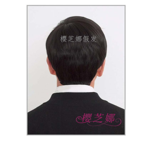 Perruque cheveux raides Court - Ref 2613031 Image 17