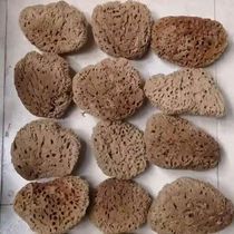 Greece imported seaweed sponge symphony printing dot color three-color pearlescent paint Art paint construction tools full of ten