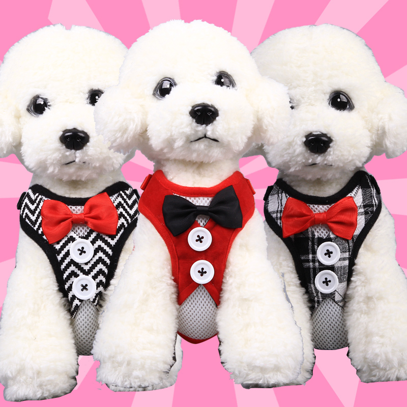 Puppies Lace Dogs Traction Rope Cat Breast Cuddling Bag Walking Dog Necklace Small Dogs Medium Dog Rope Teddy Pet Supplies