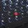 Ноутбук ThinkPad X1 CARBON 20A7S00-H00 2025 U9-288V 5G P1 Hermit 4090 mini 3