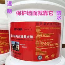 Bright finish paint matte transparent wall paint real stone paint stone wall painting protection varnish waterproof face oil cover agent