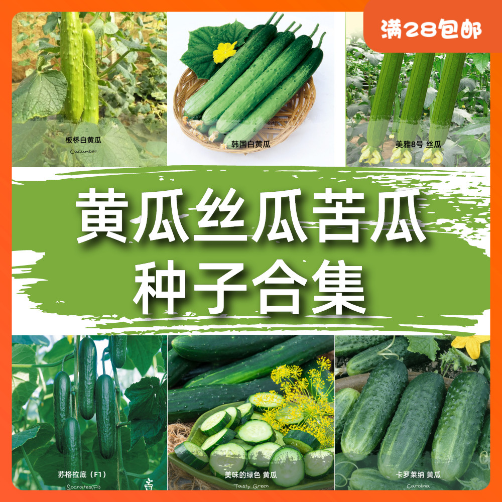 Fruit cucumber collection seeds Dutch loofah bitter melon four seasons potted farm balcony vegetable seed relict white cucumber