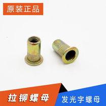 Flat head pull riveting screw back luminous word mounting accessories resin word super-word back luminous character mounting screw nuts