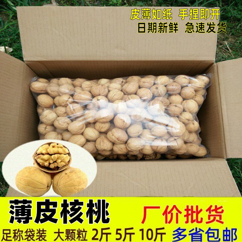 Raw Walnut Thin Skin 2021 New Stock 5 Catty Original Taste Wild Fresh Whole Box Big Walnut Xinjiang 185 Paper Picking walnut