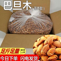 Badtan Wood Nut Hair Batch Whole Box 5 Thin Shell New Bulk Hand Peeling Dried Fruit Milky Scent Raw Taste 10 Catty