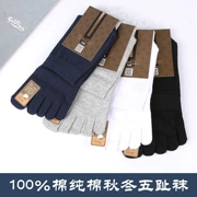 Vớ Goldlion nam chính hãng 100% cotton cotton 5 ngón cho nam tất mùa thu và dày cotton bắn 8 đôi miễn phí