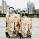 Hành lý nữ đòn bẩy 26 inch Hàn Quốc nam vali sinh viên tươi nhỏ phổ bánh xe vải mật khẩu hộp hành lý