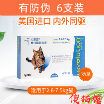 Stupid Cat Hall for external use in vitro insect repellent cats to prevent flea ear mite drops into 6 sets of cats