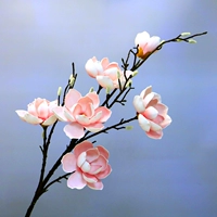 6 -х головой магнолии (розовый)