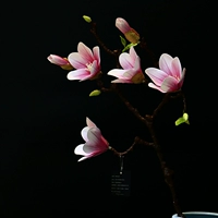 Гель главный ветвь Магнолия (розовый)