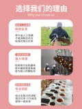 Черный чай с орхидеей, колготки, красный (черный) чай, сырье для косметических средств, чай в пакетиках, чайный порошок